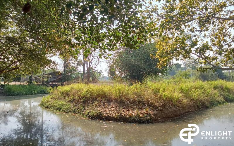 Land for Sale - Na Jomtein
