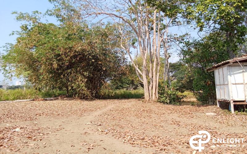 Land for Sale - Na Jomtein