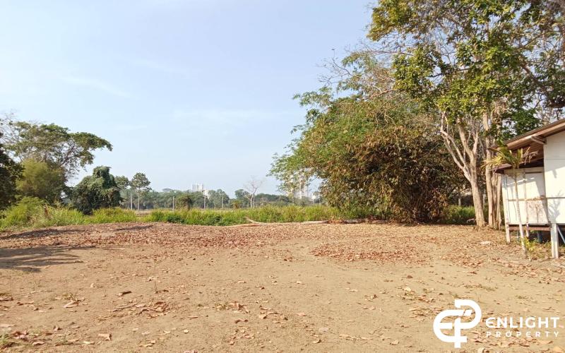 Land for Sale - Na Jomtein