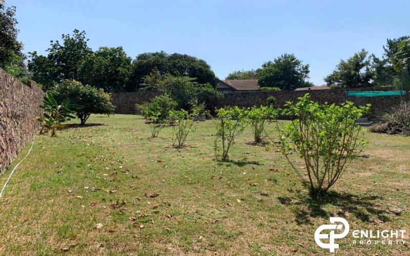 Land with House for Sale – 2 Rai 2 Ngan 98 Sq.wah