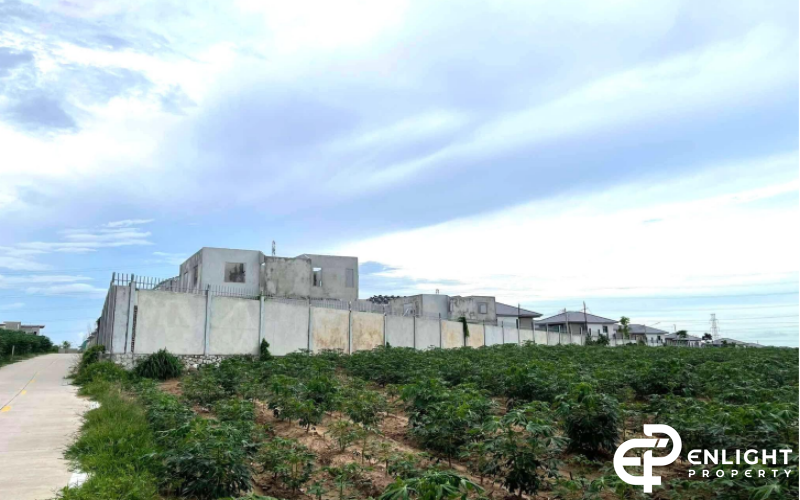 Land for Sale | Sriracha, Chonburi