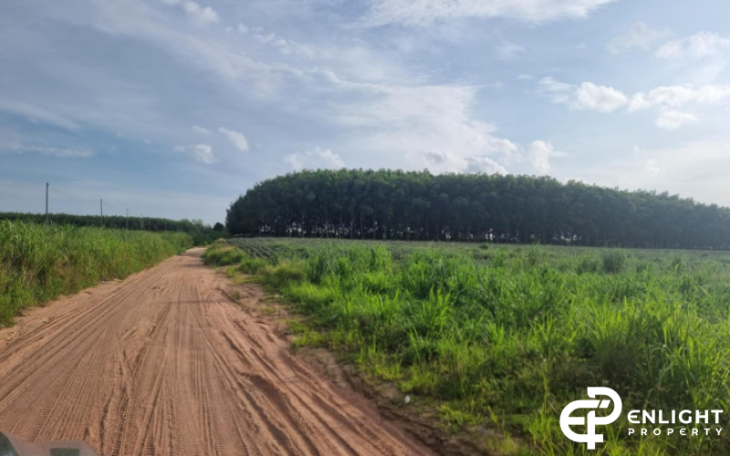 Land for Sale | Pluak Daeng District, Rayong
