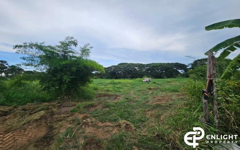 ที่ดินติดทางรถไฟ ใกล้ถนนสุขุมวิท( ชัยพฤกษ์ )