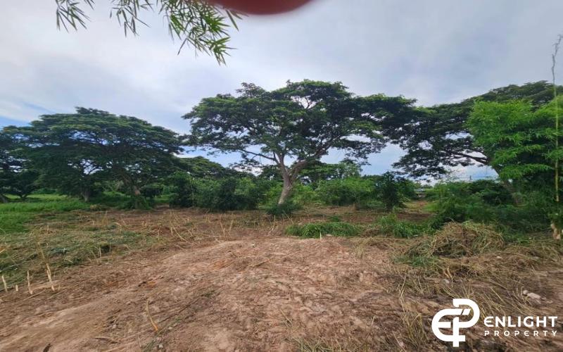 ที่ดินติดทางรถไฟ ใกล้ถนนสุขุมวิท( ชัยพฤกษ์ )