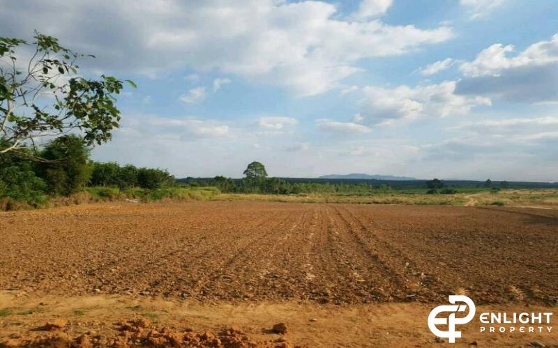 เขาไม้แก้ว 21 ไร่