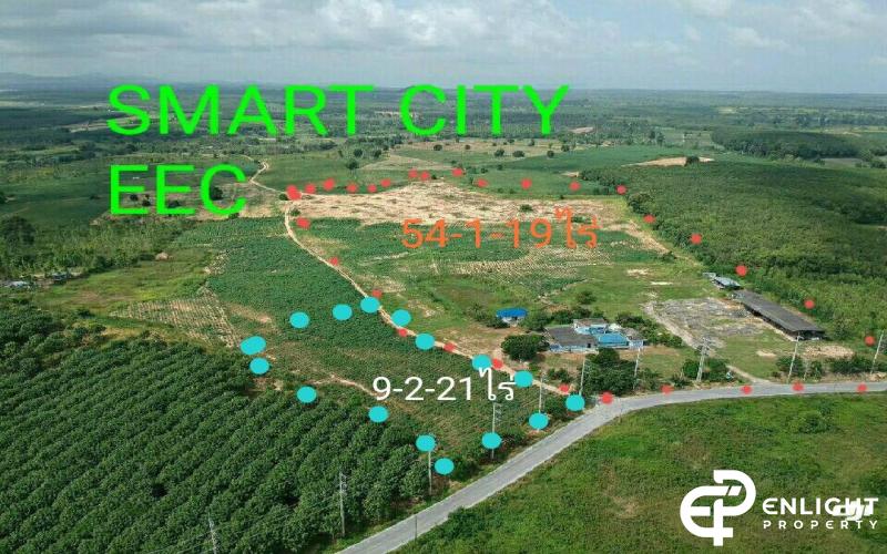 เขาไม้แก้ว 21 ไร่