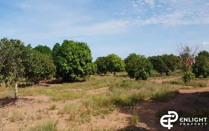 ที่ดินหนองปลาไหล 12-0-18 ไร่